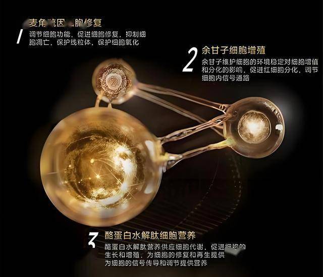 蓝莓市场外汇平台黔西南州加快推动农房质量保养提高工程建设